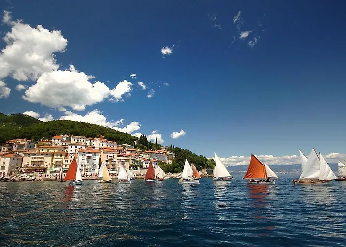 Appartamento Grzin *